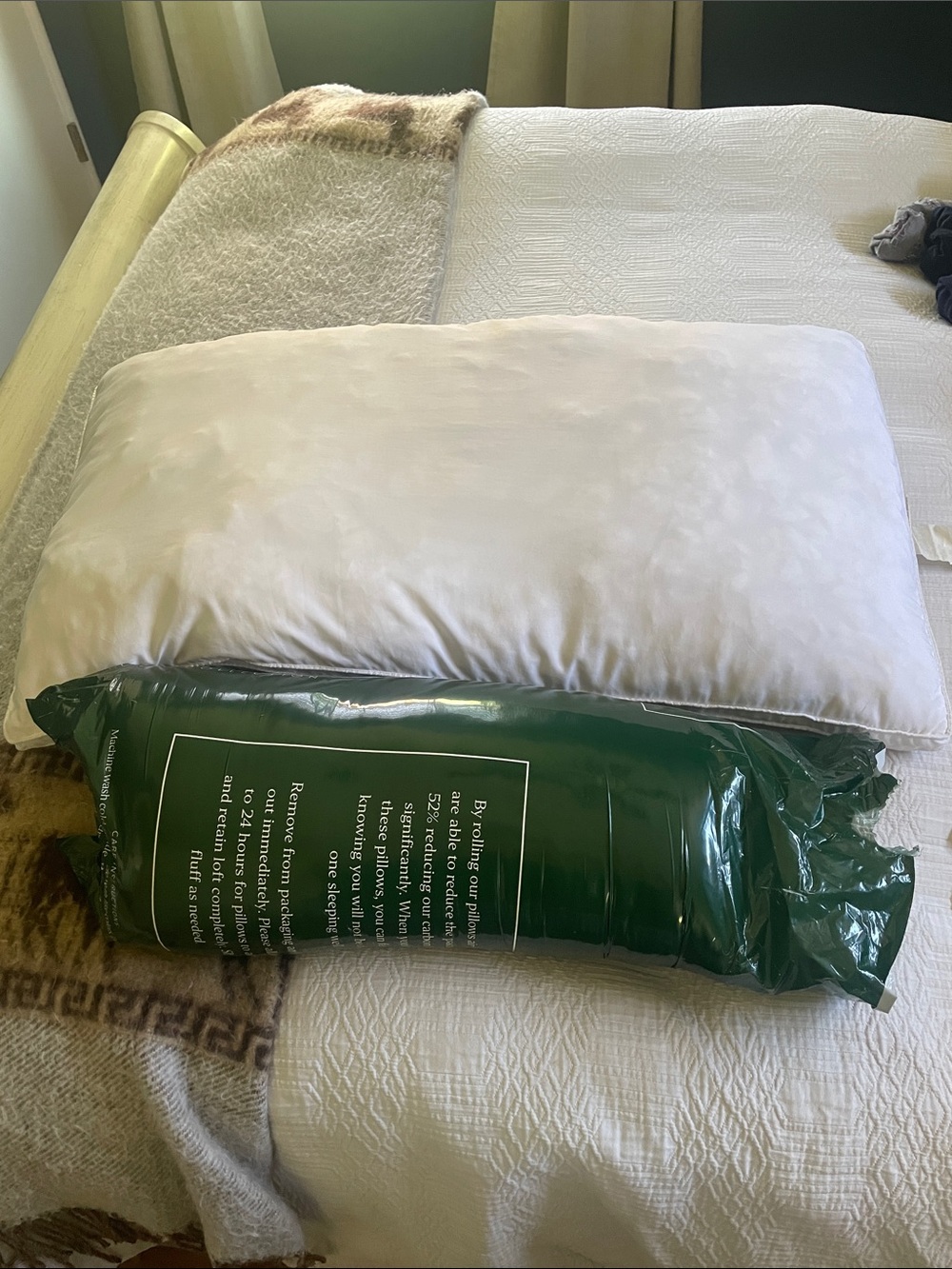 Ella Jayne Down alternative pillows- king